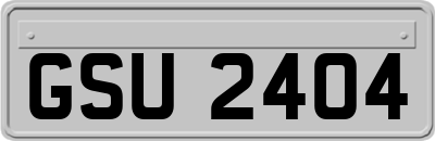 GSU2404