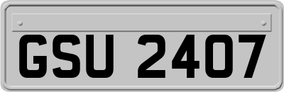 GSU2407
