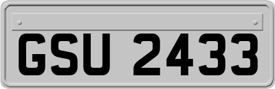 GSU2433