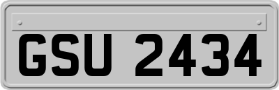 GSU2434