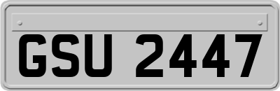 GSU2447