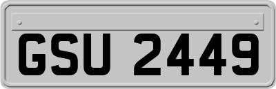 GSU2449