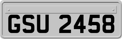 GSU2458