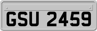 GSU2459