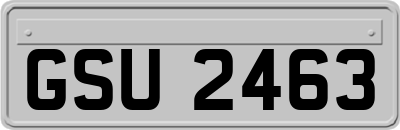 GSU2463