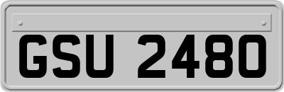 GSU2480
