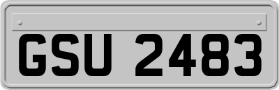 GSU2483