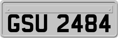 GSU2484