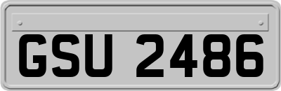 GSU2486