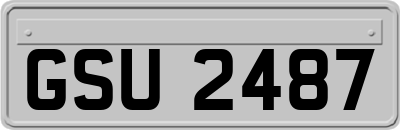 GSU2487