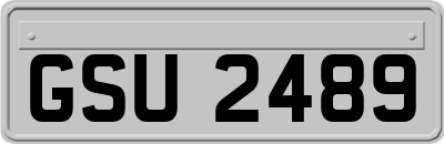 GSU2489