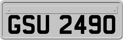GSU2490