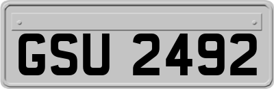 GSU2492