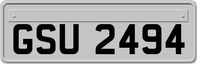 GSU2494