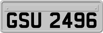 GSU2496