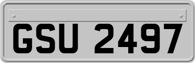 GSU2497