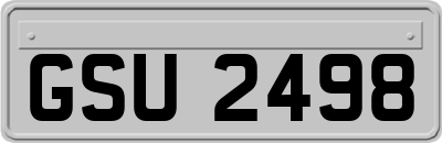 GSU2498