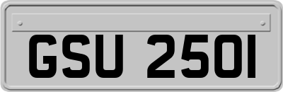 GSU2501