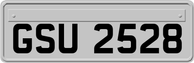 GSU2528