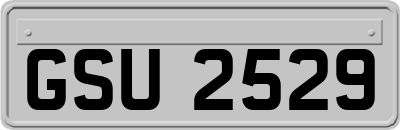 GSU2529