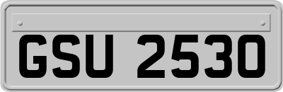 GSU2530