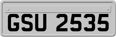 GSU2535