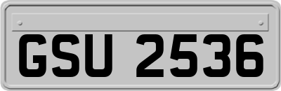 GSU2536