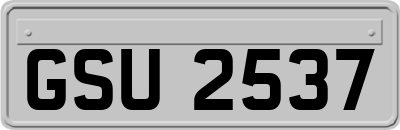 GSU2537
