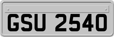 GSU2540