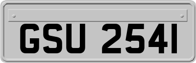 GSU2541