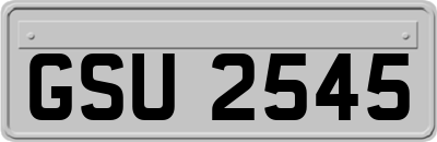 GSU2545