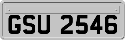GSU2546