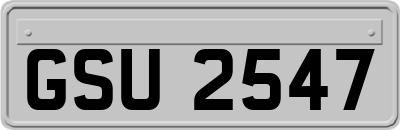 GSU2547