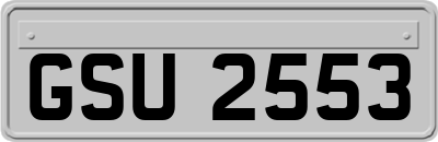 GSU2553