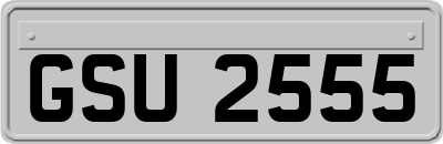 GSU2555