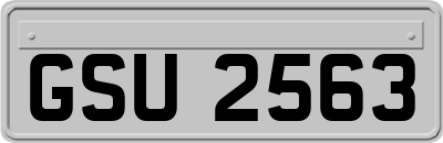 GSU2563