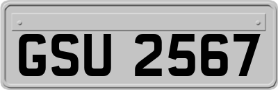 GSU2567