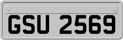 GSU2569