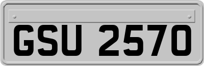 GSU2570