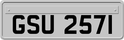 GSU2571