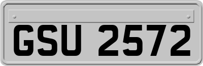 GSU2572