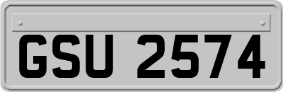 GSU2574