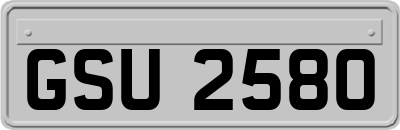 GSU2580