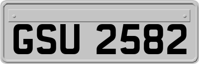 GSU2582