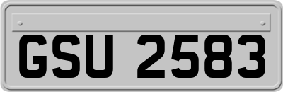 GSU2583