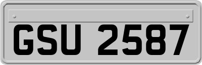 GSU2587
