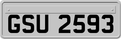 GSU2593