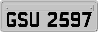GSU2597