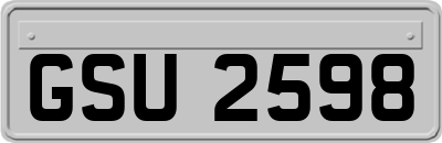 GSU2598