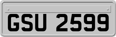 GSU2599